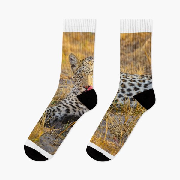 Item preview, Leopard (Panthera pardus) in the Okavango Delta designed and sold by Graham Prentice.