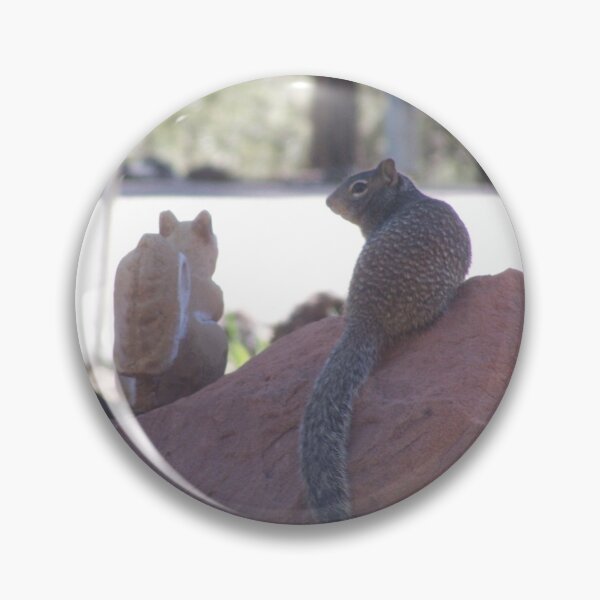 Item preview, Squirrel's New Friend designed and sold by HighCountry2021.