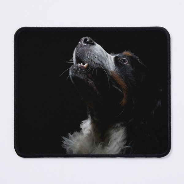 Item preview, Burnese Mountain Dogs For Dog Lovers As I Love My Bernese Dog - I Love My Bernese Dog designed and sold by lodarohit.