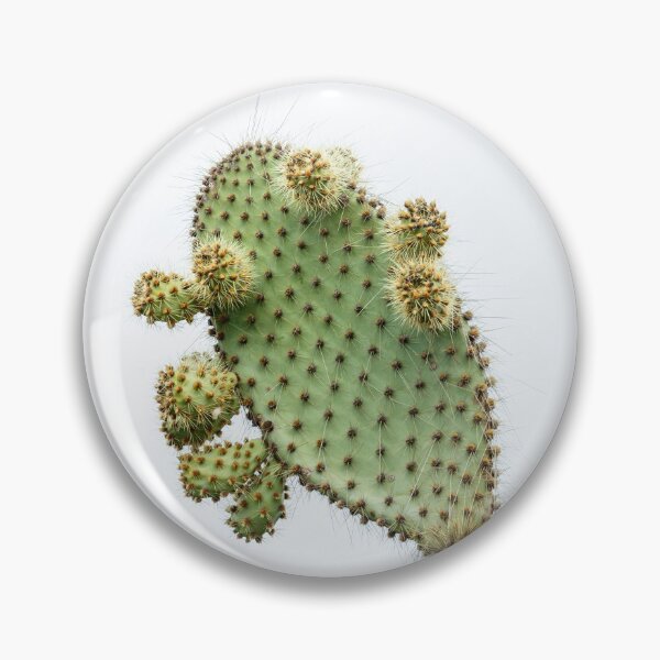 Item preview, Prickly pear cactus designed and sold by Graham Prentice.