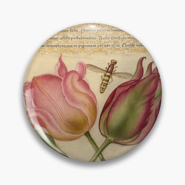 Item preview, Naturalist Manuscript: Insects, Flower, and Calligraphy Illumination by Joris Hoefnagel designed and sold by Naturalist Prints.