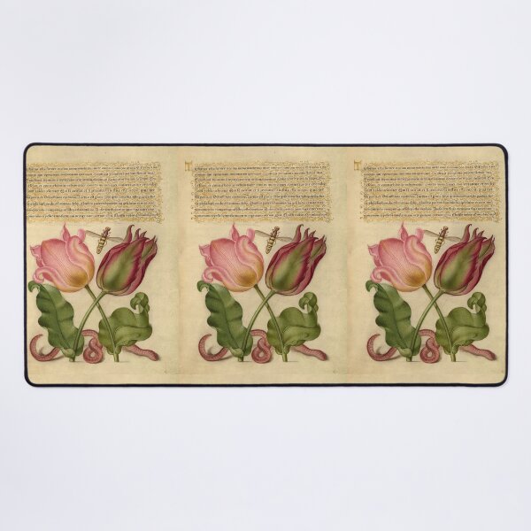 Item preview, Naturalist Manuscript: Insects, Flower, and Calligraphy Illumination by Joris Hoefnagel designed and sold by Naturalist Prints.