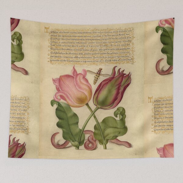Item preview, Naturalist Manuscript: Insects, Flower, and Calligraphy Illumination by Joris Hoefnagel designed and sold by Naturalist Prints.
