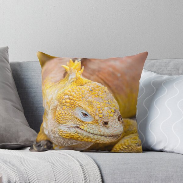 Item preview, Galapagos land iguana (Conolophus subcristatus) designed and sold by Graham Prentice.