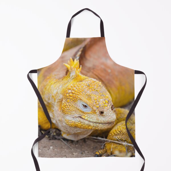 Item preview, Galapagos land iguana (Conolophus subcristatus) designed and sold by Graham Prentice.