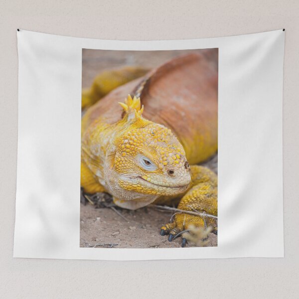 Item preview, Galapagos land iguana (Conolophus subcristatus) designed and sold by Graham Prentice.