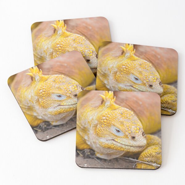 Item preview, Galapagos land iguana (Conolophus subcristatus) designed and sold by Graham Prentice.