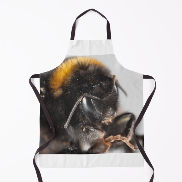 Item preview, Bumble bee close-up designed and sold by Graham Prentice.
