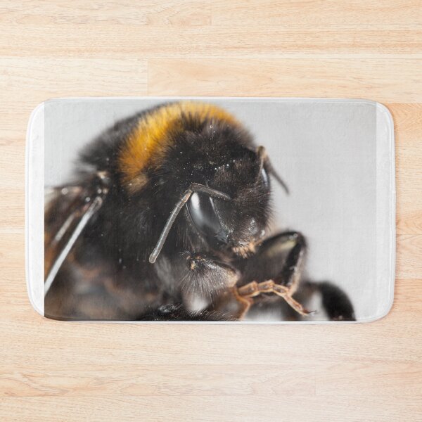 Item preview, Bumble bee close-up designed and sold by Graham Prentice.