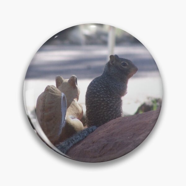 Item preview, Squirrel's New Close Friend on Black designed and sold by HighCountry2021.