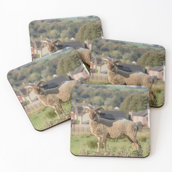 Item preview, Sheep and Village designed and sold by Jane Stanley Photography.