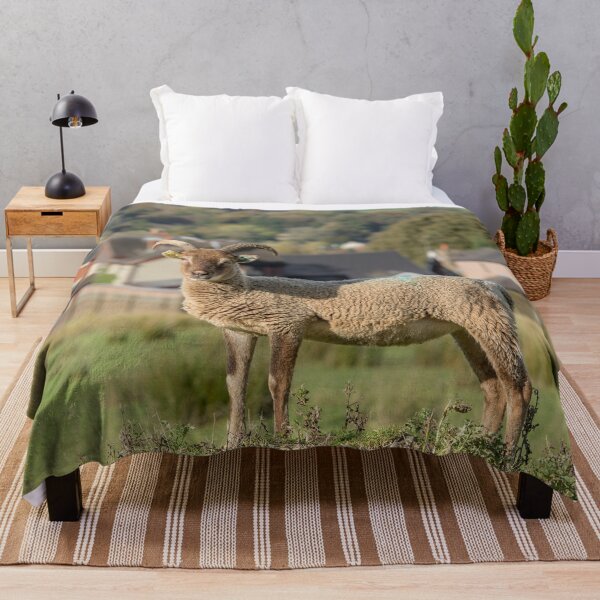 Item preview, Sheep and Village designed and sold by Jane Stanley Photography.