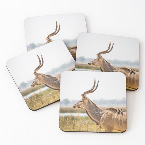 Item preview, Greater kudu (Tragelaphus strepsiceros) with oxpeckers designed and sold by Graham Prentice.