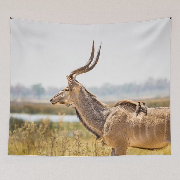 Item preview, Greater kudu (Tragelaphus strepsiceros) with oxpeckers designed and sold by Graham Prentice.