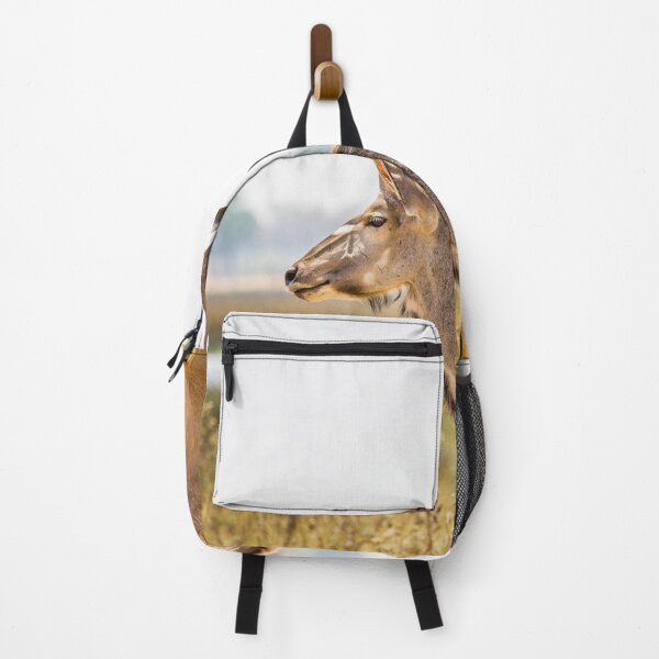 Item preview, Greater kudu (Tragelaphus strepsiceros) with oxpeckers designed and sold by Graham Prentice.