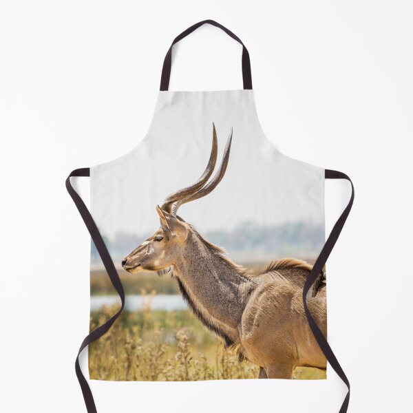 Item preview, Greater kudu (Tragelaphus strepsiceros) with oxpeckers designed and sold by Graham Prentice.