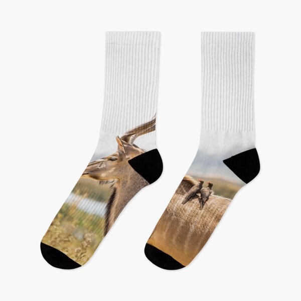 Item preview, Greater kudu (Tragelaphus strepsiceros) with oxpeckers designed and sold by Graham Prentice.