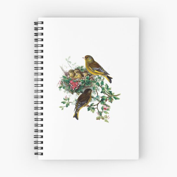 Item preview, Birds taking care of their young in nest designed and sold by mrtom414.