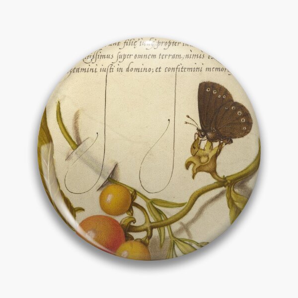 Item preview, Naturalist Manuscript:Butterfly, Plants, and Calligraphy Illumination by Joris Hoefnagel designed and sold by Naturalist Prints.