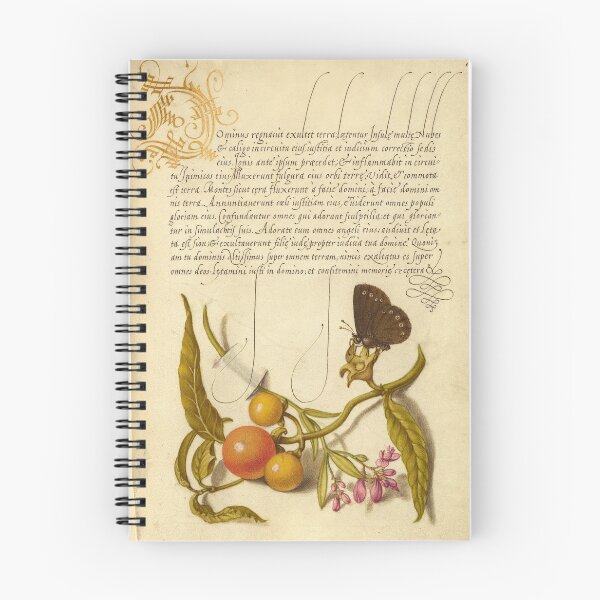 Item preview, Naturalist Manuscript:Butterfly, Plants, and Calligraphy Illumination by Joris Hoefnagel designed and sold by Naturalist Prints.