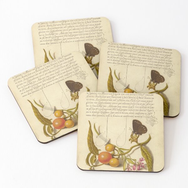 Item preview, Naturalist Manuscript:Butterfly, Plants, and Calligraphy Illumination by Joris Hoefnagel designed and sold by Naturalist Prints.