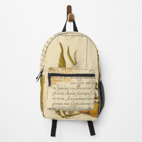 Item preview, Naturalist Manuscript:Butterfly, Plants, and Calligraphy Illumination by Joris Hoefnagel designed and sold by Naturalist Prints.