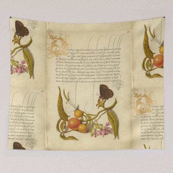Item preview, Naturalist Manuscript:Butterfly, Plants, and Calligraphy Illumination by Joris Hoefnagel designed and sold by Naturalist Prints.