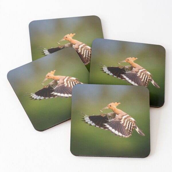 Item preview, Hoopoe (Upupa epops) in flight designed and sold by Graham Prentice.