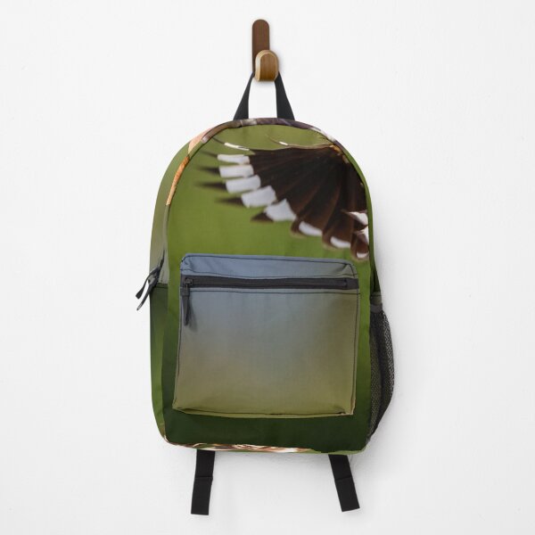 Item preview, Hoopoe (Upupa epops) in flight designed and sold by Graham Prentice.