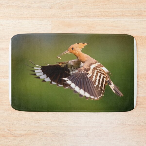 Item preview, Hoopoe (Upupa epops) in flight designed and sold by Graham Prentice.