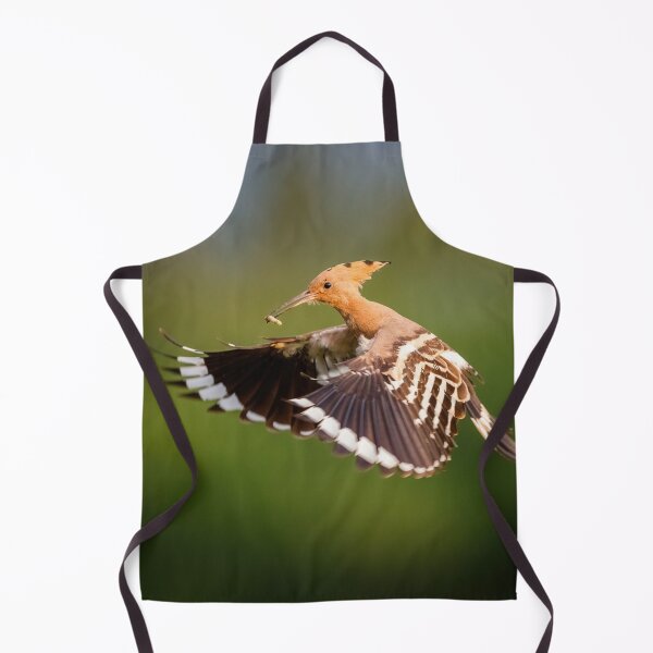 Item preview, Hoopoe (Upupa epops) in flight designed and sold by Graham Prentice.