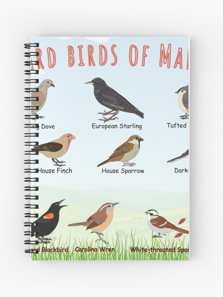 Thumbnail 1 of 3, Journal, Backyard birds of Maryland designed and sold by AndyMcBird.