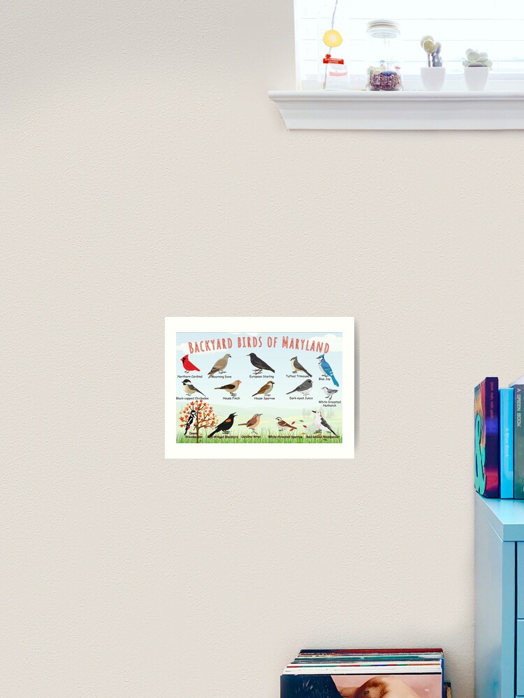 Thumbnail 1 of 3, Art Print, Backyard birds of Maryland designed and sold by AndyMcBird.