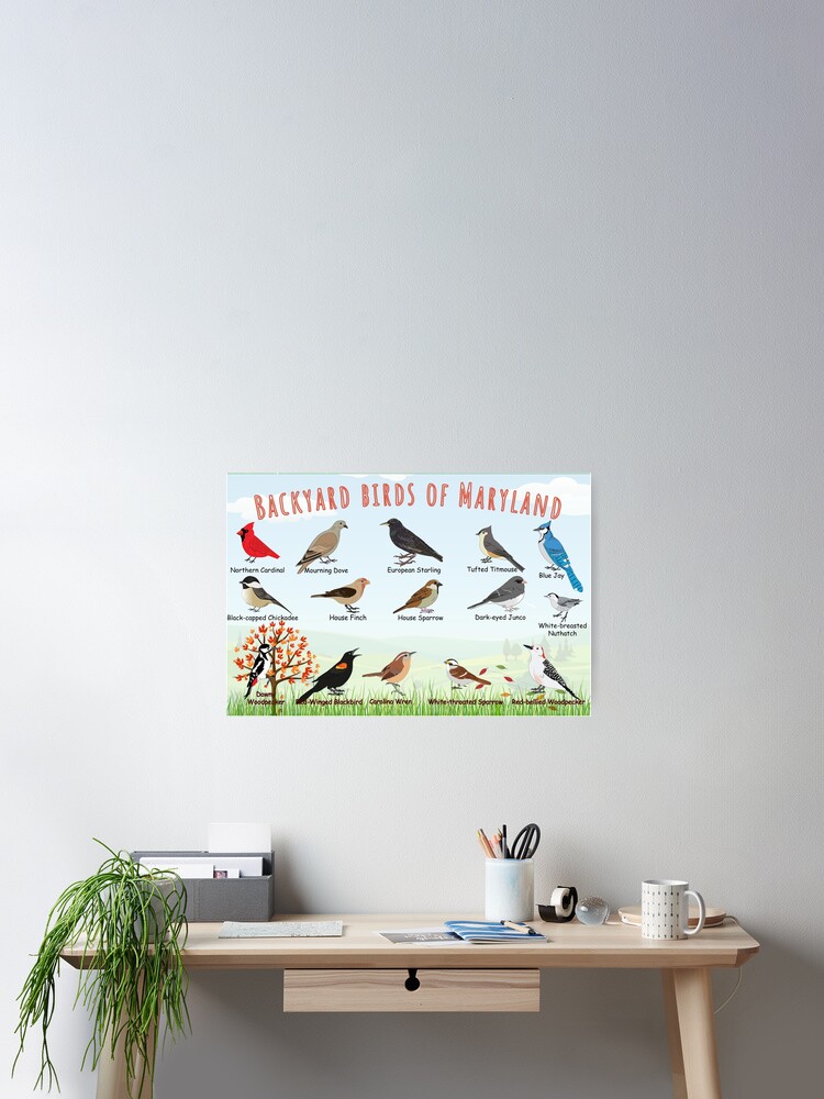 Thumbnail 2 of 3, Poster, Backyard birds of Maryland designed and sold by AndyMcBird.