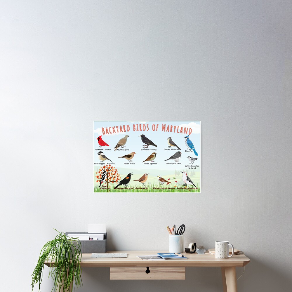 Item preview, Poster designed and sold by AndyMcBird.