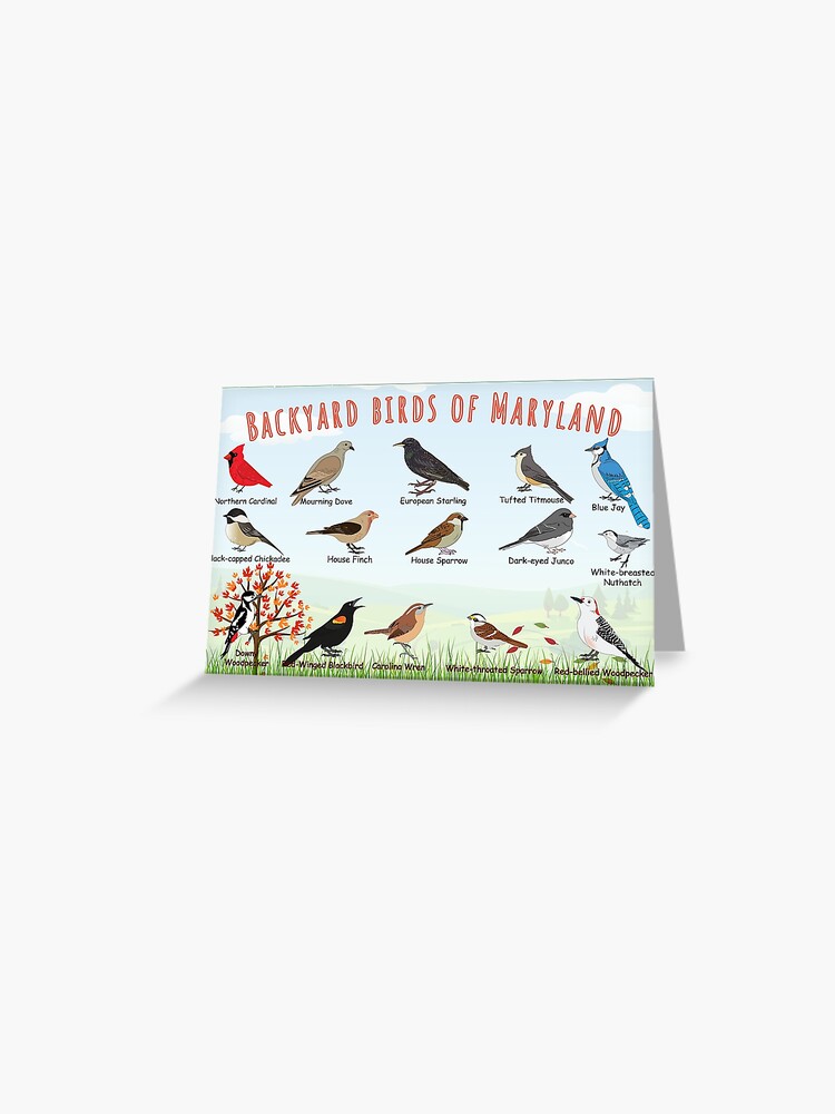 Thumbnail 1 of 2, Greeting Card, Backyard birds of Maryland designed and sold by AndyMcBird.