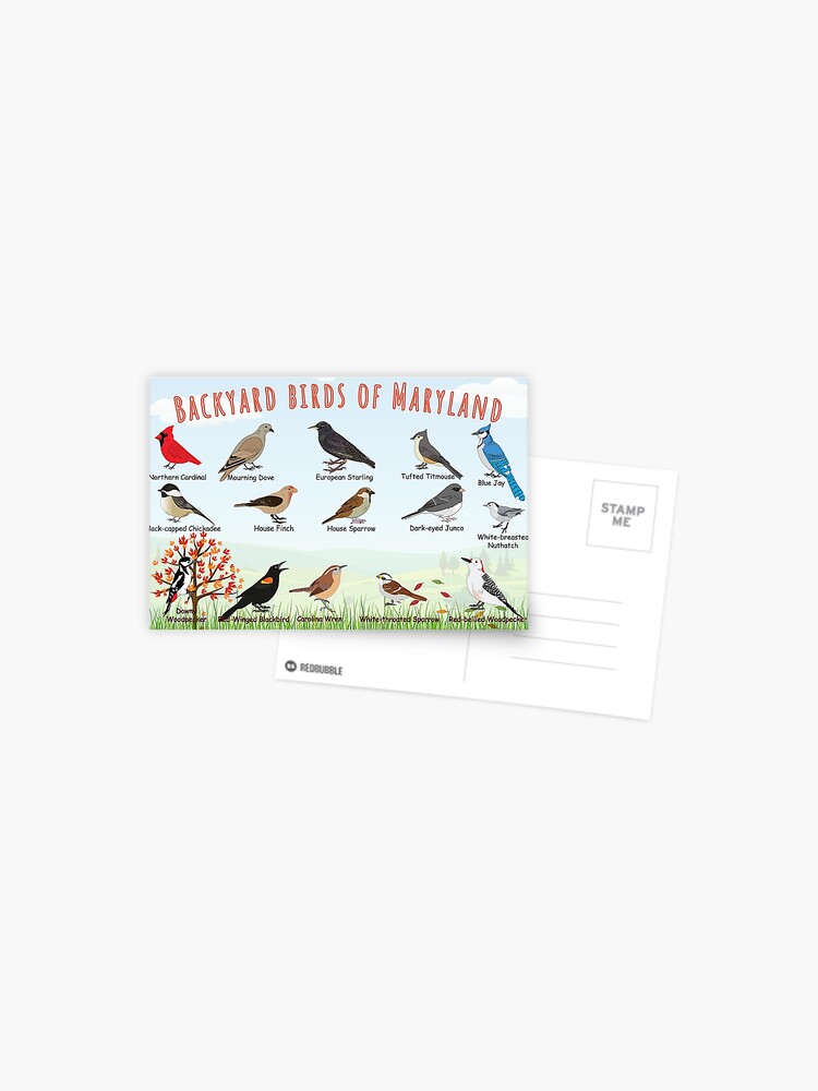 Thumbnail 1 of 2, Postcard, Backyard birds of Maryland designed and sold by AndyMcBird.