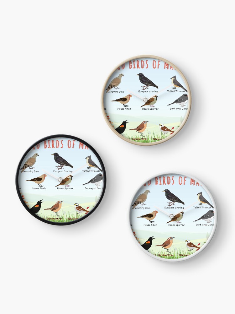 Thumbnail 3 of 4, Clock, Backyard birds of Maryland designed and sold by AndyMcBird.