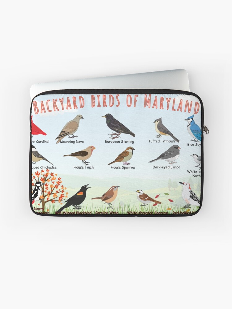 Thumbnail 1 of 2, Laptop Sleeve, Backyard birds of Maryland designed and sold by AndyMcBird.