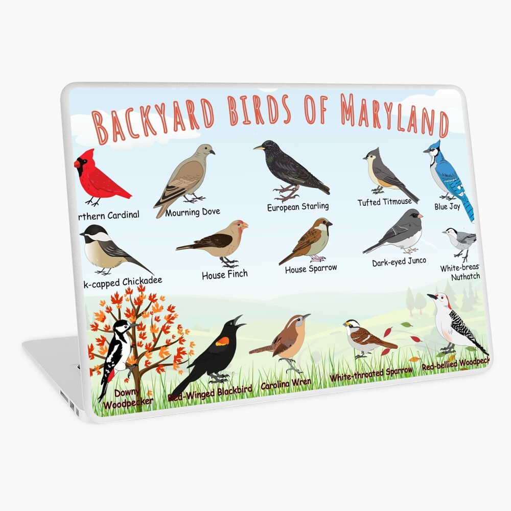 Item preview, Laptop Skin designed and sold by AndyMcBird.