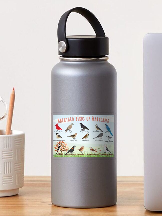 Thumbnail 1 of 3, Sticker, Backyard birds of Maryland designed and sold by AndyMcBird.