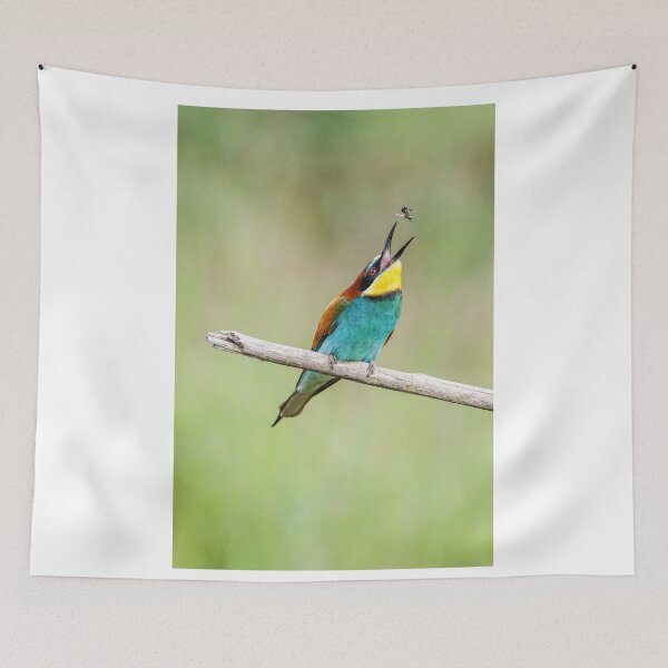 Item preview, European bee-eater (Merops apiaster) designed and sold by Graham Prentice.