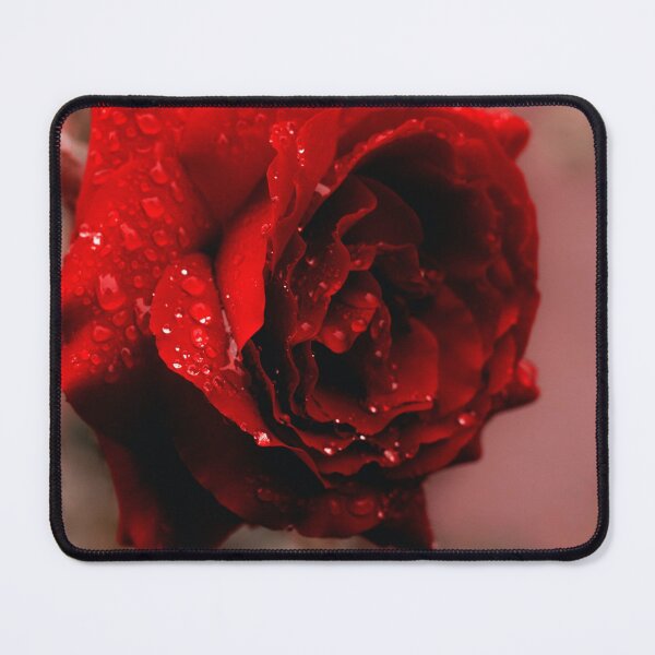 Item preview, red rose designed and sold by Tipon.