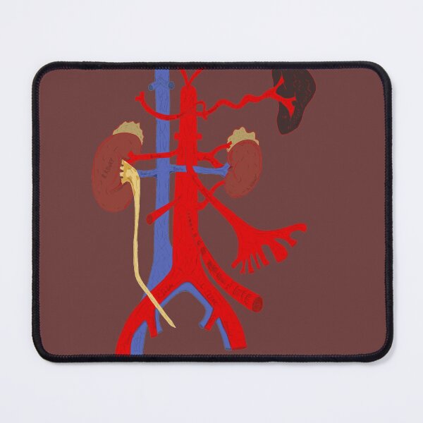 Item preview, Blood Vessel Anatomy - Aorta, IVC, Kidneys designed and sold by HoldMyTees.