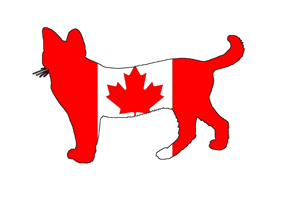 "Canada Cat" by DelirusFurittus Redbubble