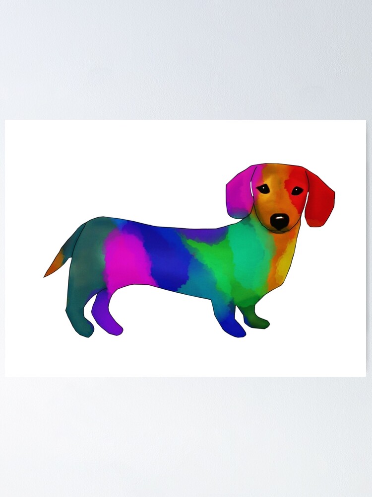 rainbow sausage dog