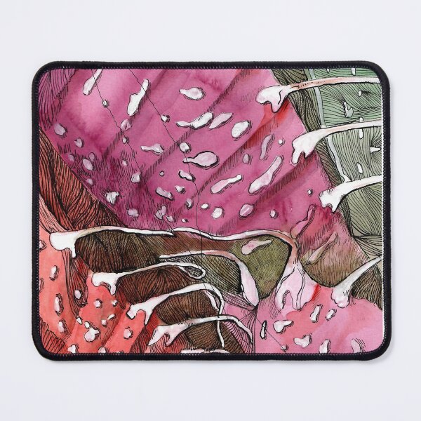 Item preview, faukaria cactus designed and sold by MariaY25.
