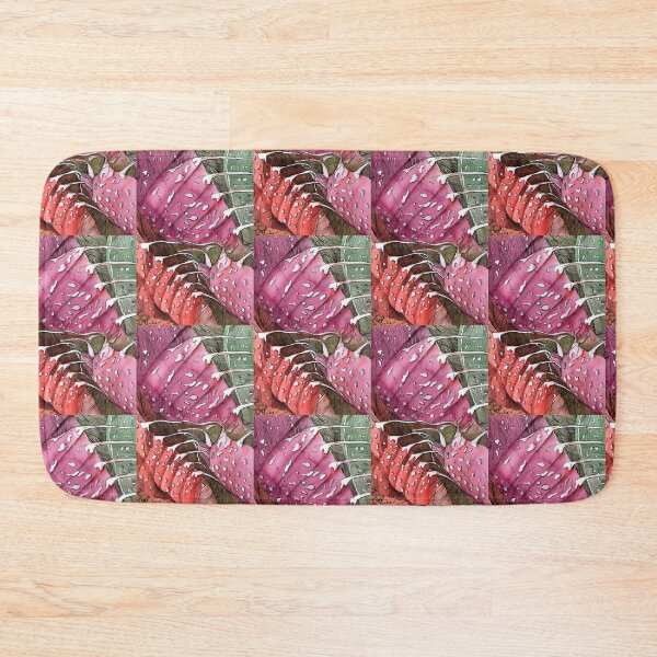 Item preview, faukaria cactus designed and sold by MariaY25.
