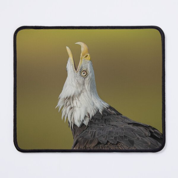 Item preview, bald eagle designed and sold by Nicole W..