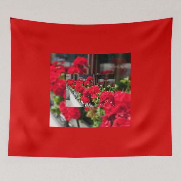 Item preview, Bunches of vibrant red Pelargonium designed and sold by Arletta Cwalina.